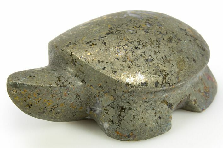 Lustrous Chalcopyrite Turtle - Arizona #311914